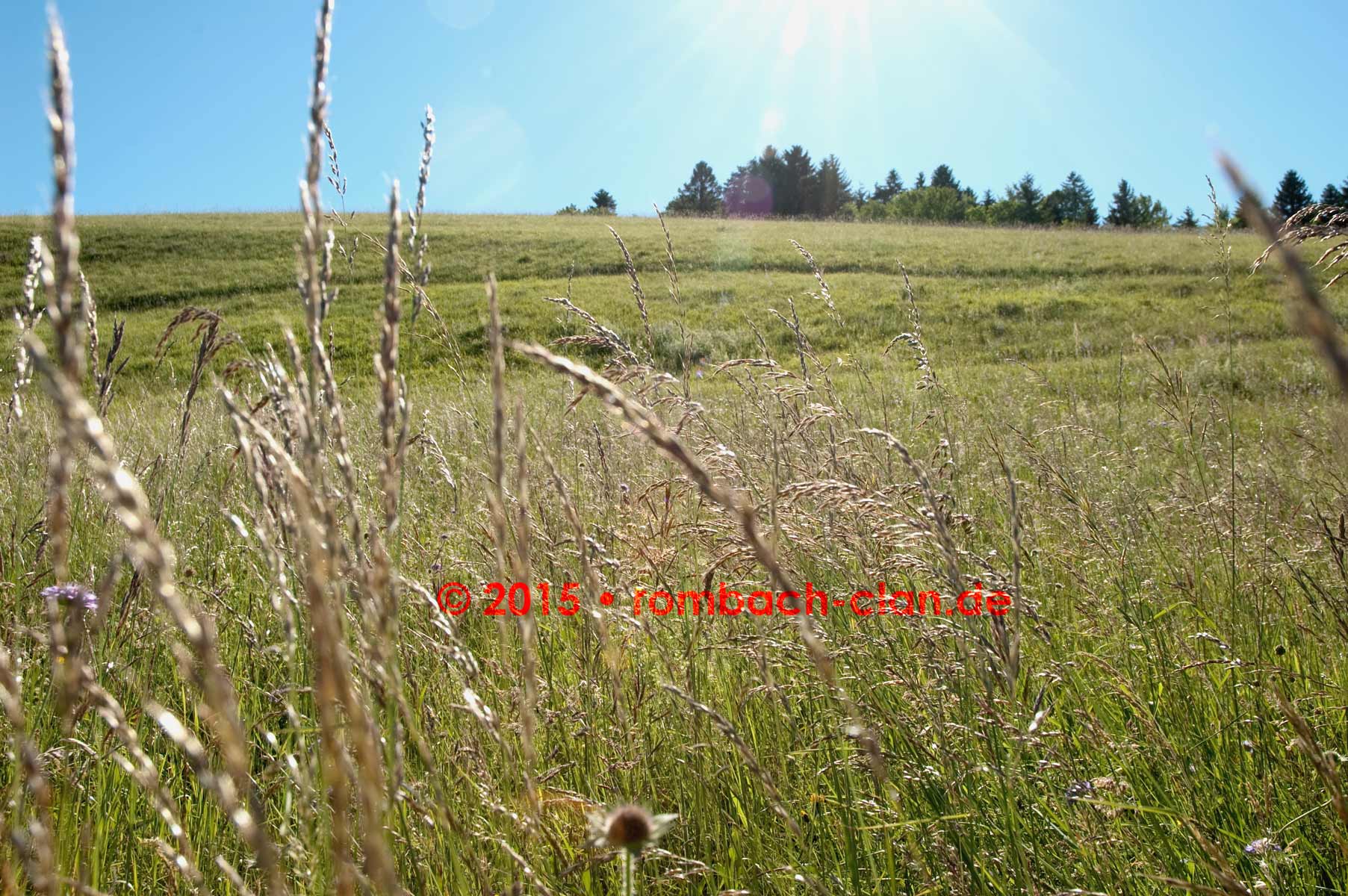 full screen background image